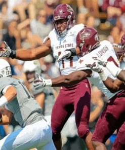 Texas State Bobcats Football Paint By Numbers