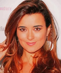 Cote De Pablo Women Paint By Numbers