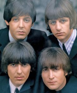 Beatles Rock Stars Paint By Numbers