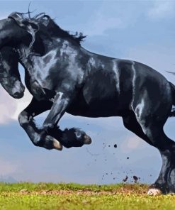 Majestic Black Stallion Paint By Numbers