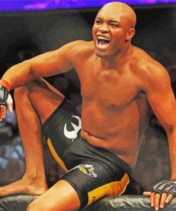 Anderson Silva Boxer Paint By Numbers