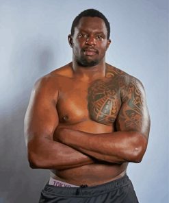 Boxer Dillian Whyte Paint By Numbers