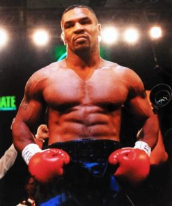 Mike Tyson Shrek Edition Paint By Numbers