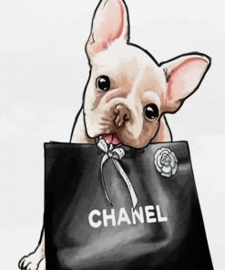 Chanel Dog Animal Paint By Numbers