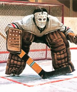 The Hockey Goalie Paint By Numbers