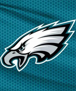 Philadelphia Eagles Football Paint By Numbers