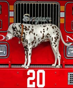 Dalmatian Adventure Fire Truck Paint By Numbers