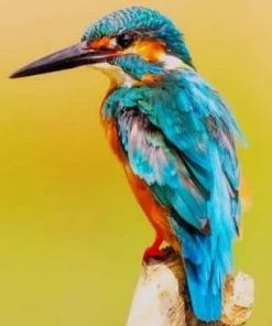 Kingfisher Bird Painting Set Paint By Numbers