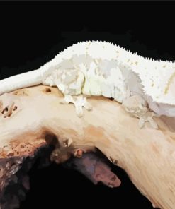 Crested Gecko Reptile Paint By Numbers