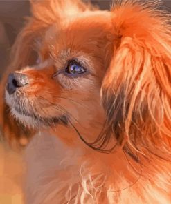 Tibetan Spaniel Dog Paint By Numbers Kit