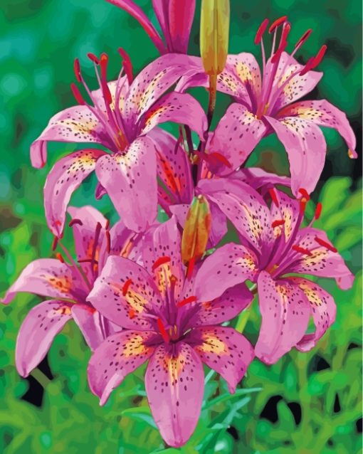 Tiger-Pink-Lilies-paint-by-numbers