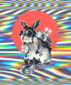 Time Travel Bunny Paint By Numbers