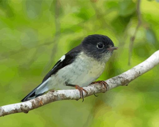 Tomtit-bird-paint-by-number