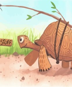 Tortoise Animals Paint By Numbers