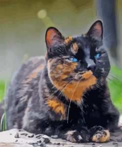 Tortoiseshell Feline Art Paint By Numbers