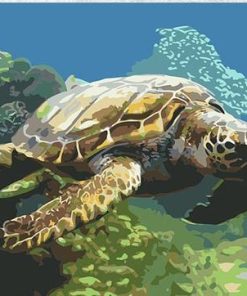 Sea Turtle Paint By Numbers