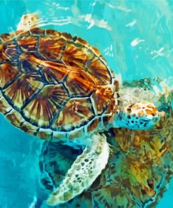Cancun Sea Turtles Paint By Numbers