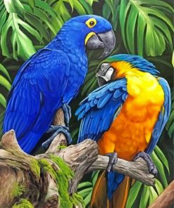 Tropical Macaw Parrots Paint By Numbers
