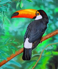 Tropical Toucan Bird Paint By Numbers