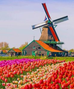 Tulips in Nature Paint By Numbers