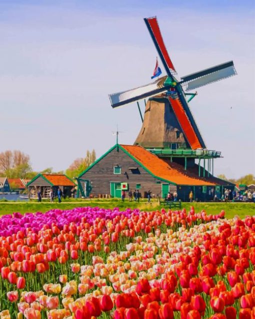 Tulips-flowers-field-paint-by-number