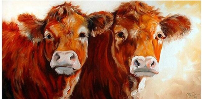 Brown Cow Animal Paint By Numbers