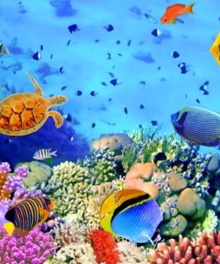 Colorful Underwater Reef Fish Paint By Numbers