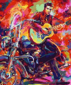 Elvis Presley Celebrity Paint By Numbers