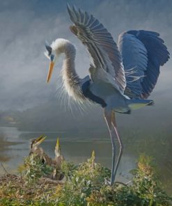 Great Blue Heron Birds Paint By Numbers
