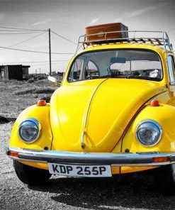 Volkswagen Beetle Retro Paint By Numbers