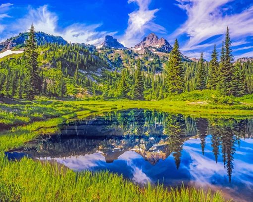 Washington-Nature