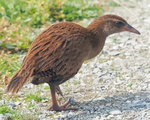 Weka-paint-by-number