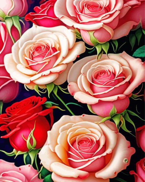 White-and-red-roses-paint-by-number