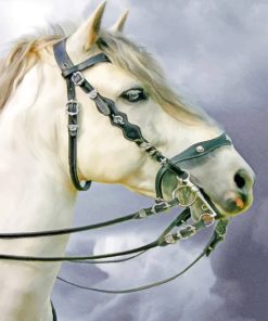 Majestic White Stallion Paint By Numbers