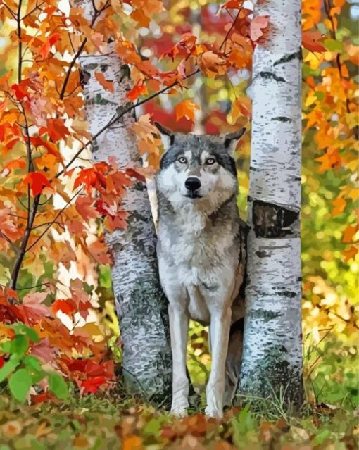 Wild-Wolf-among-birches-paint-by-number