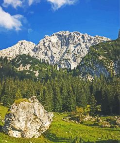 Austrian Wilderness Paint By Numbers