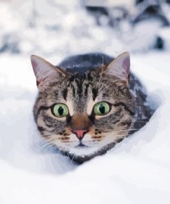 Cozy Winter Cat Paint By Numbers