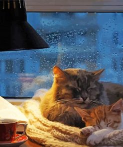 Winter Cat Coffee Fun Paint By Numbers