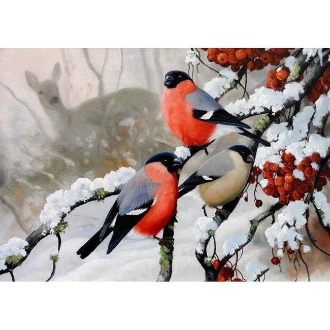 Winter Birds Painting Kit Paint By Numbers