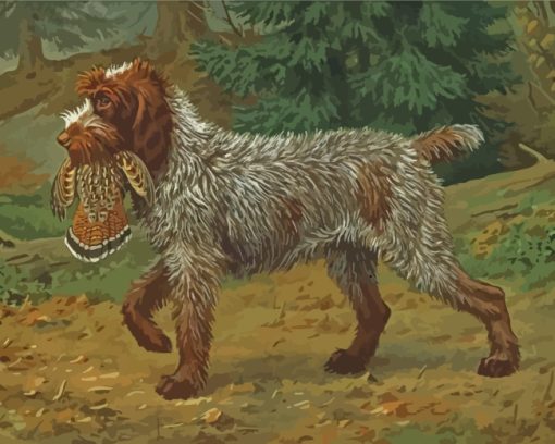 Wirehaired-Pointing-Griffon-Hunting-paint-by-numbers