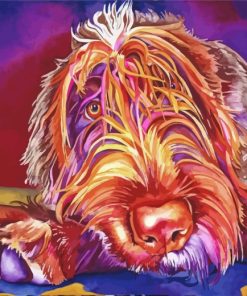 Wirehaired Griffon Dog Paint By Numbers