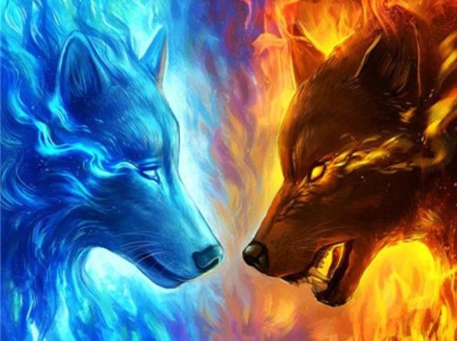 Fire and Ice Wolves Paint By Numbers