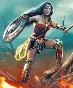 Wonder Woman Heroes Paint By Numbers