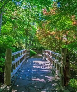 Woodland Bridge Canvas Paint By Numbers