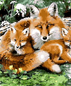 Fox Family Animals Paint By Numbers