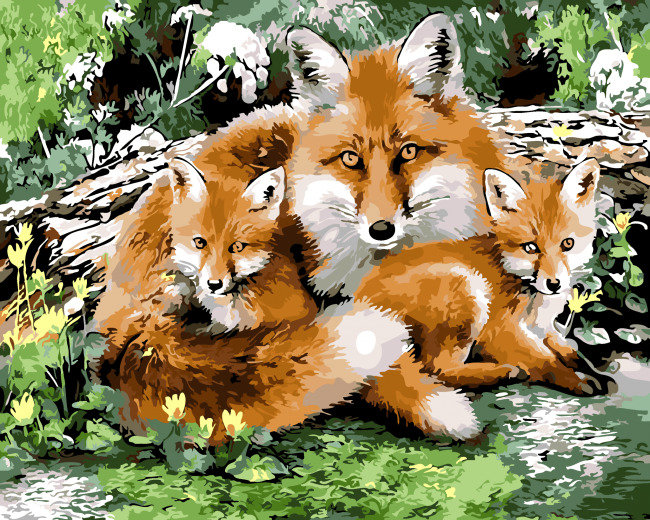 Fox Family Animals Paint By Numbers