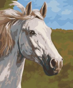 White Horse Beauty Paint By Numbers