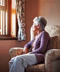 Old Lady Window Scene Paint By Numbers