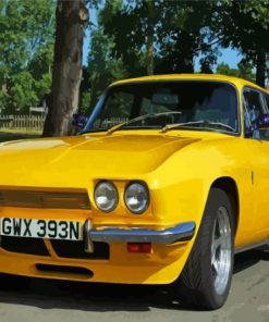 Yellow Scimitar Automotive Paint By Numbers