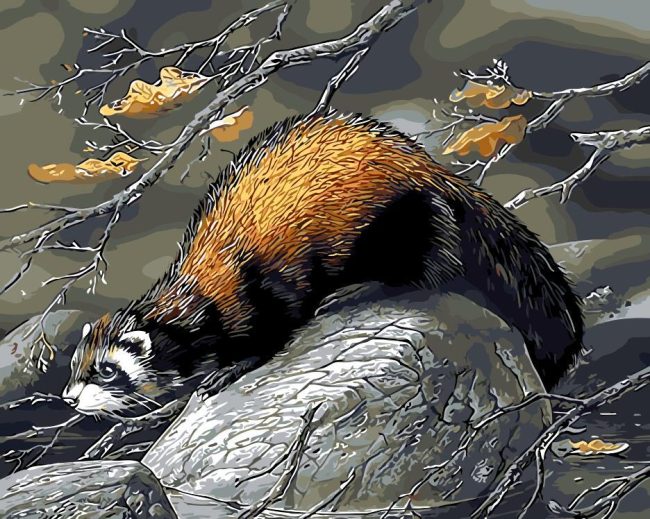 Beaver Wildlife Art Paint By Numbers